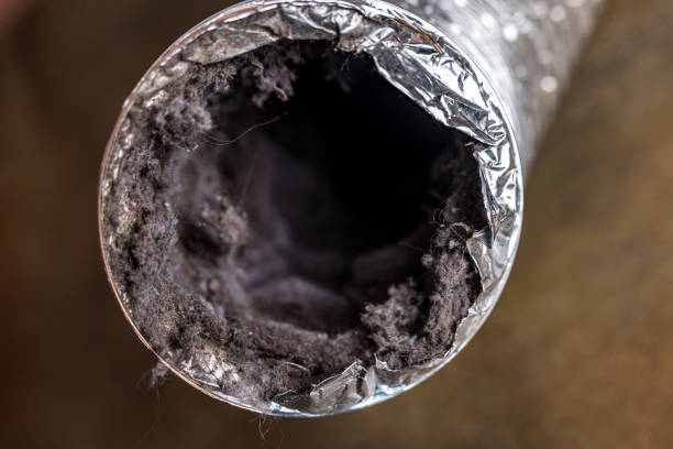 Best Home Air Vent Cleaning  in Albion, IL