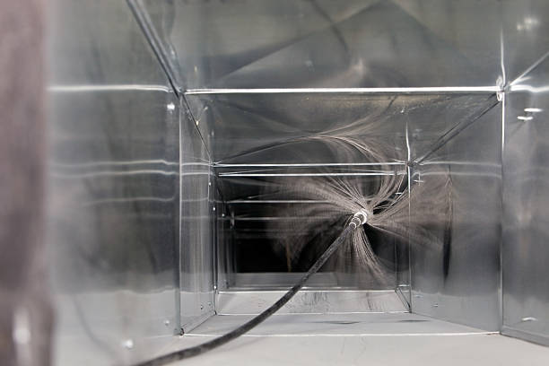 Best Affordable Duct Cleaning Services  in Albion, IL