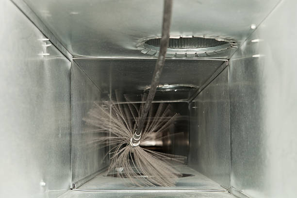 Best Residential Air Duct Cleaning  in Albion, IL