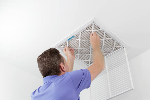 Best Best Air Duct Cleaning Near Me  in Albion, IL